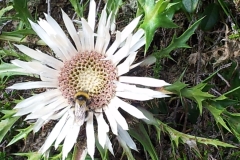 Impressionen von Oberstdorf