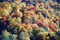 Impressionen von Oberstdorf