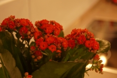 Vogt Alpenkristall: Impressionen unserer Wohnung