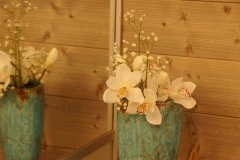 Vogt Alpenkristall: Impressionen unserer Wohnung